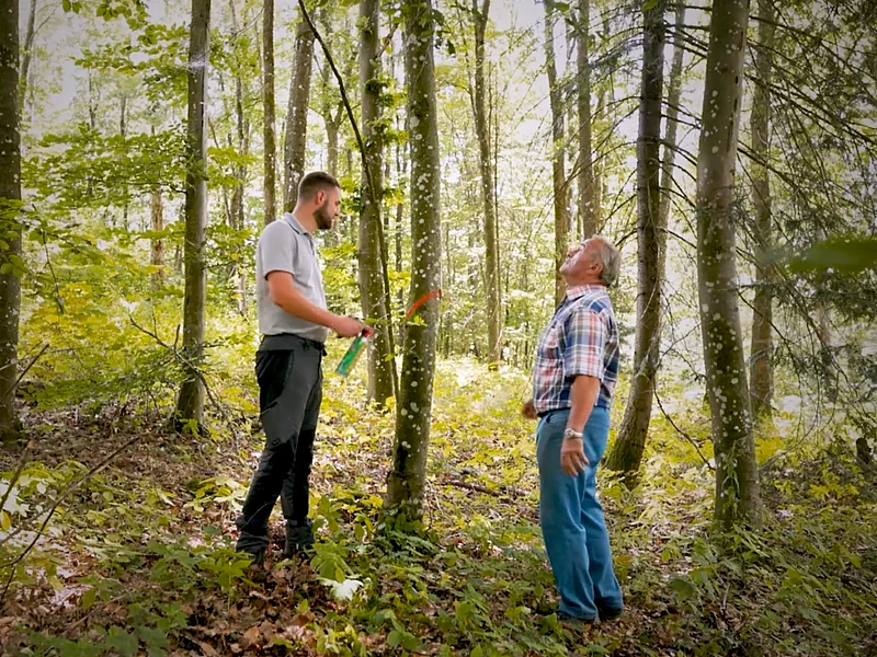 Zwei Männer besprechen den Baumbestand in einem lichten Wald.