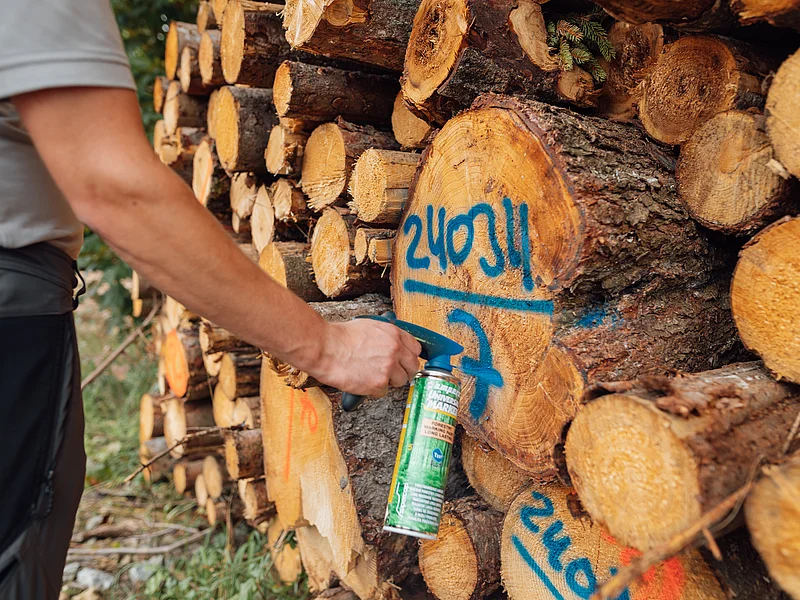 Ein Mann markiert die Stirnfläche eines Baumstamms an einem Holzstapel mit blauer Farbe.